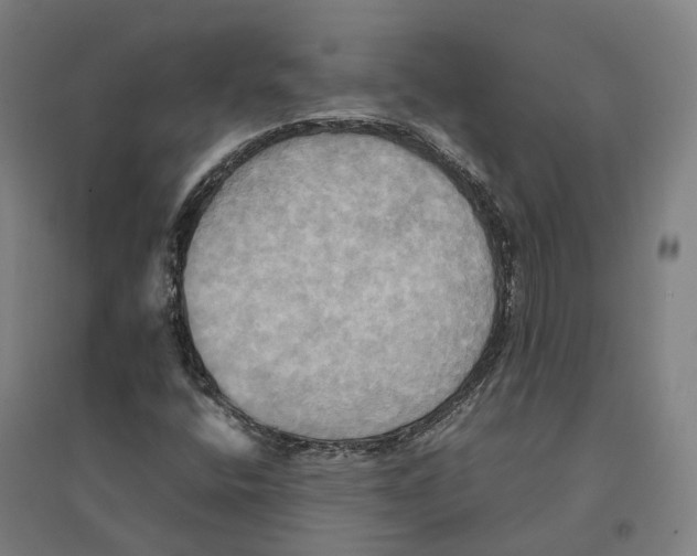 X0000095121400200712301749