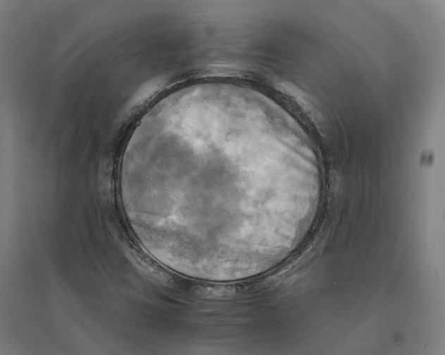 X0000095121403200712301749