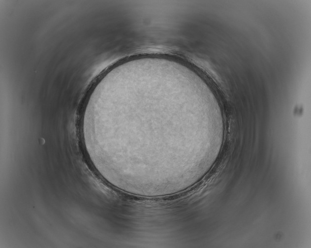 X0000095121404200712301749