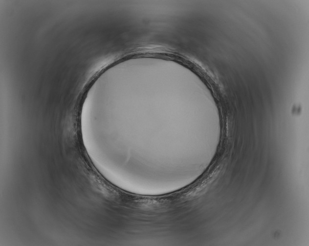 X0000095121405200712301749