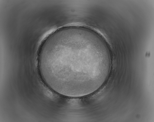 X0000095121406200712301749