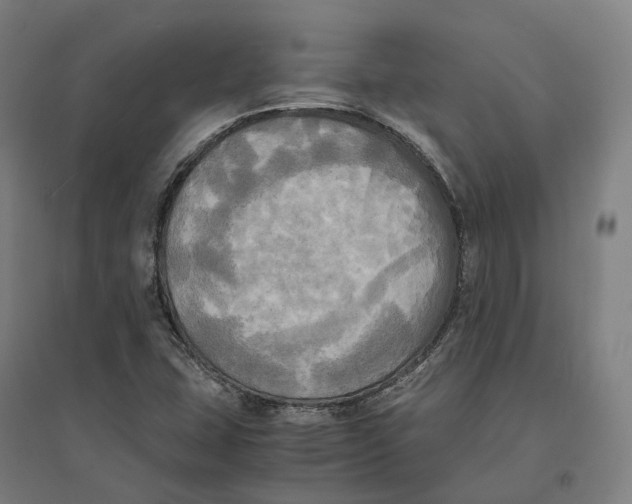 X0000095121407200712301749