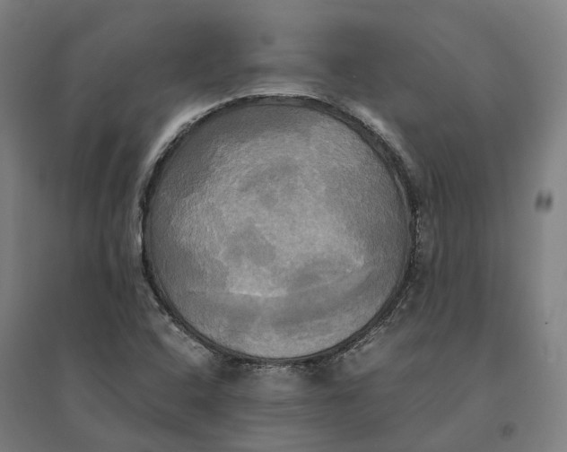 X0000095121408200712301749