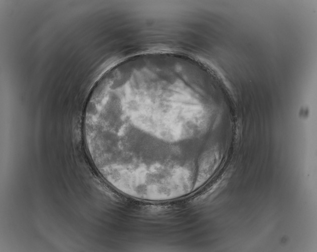 X0000095121409200712301749