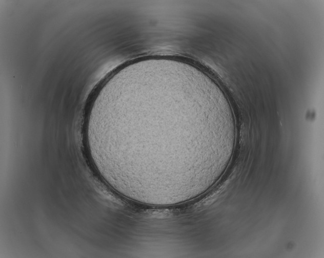 X0000095121410200712301749