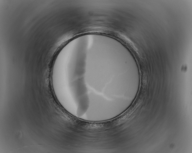 X0000095121411200712301749