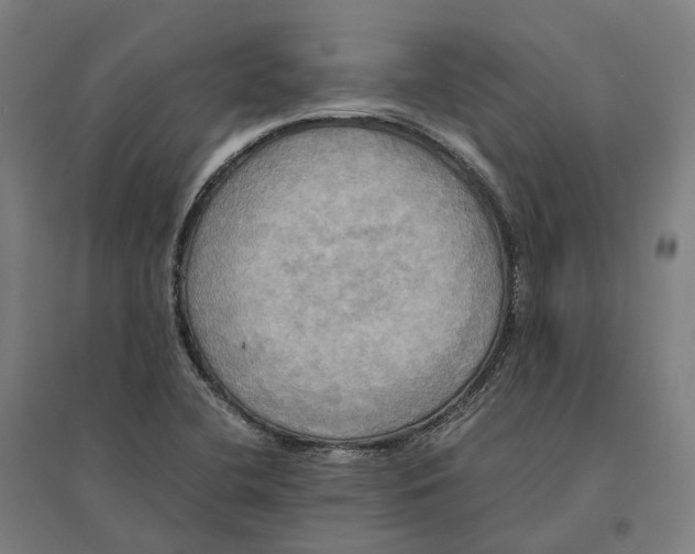 X0000095121412200712301749