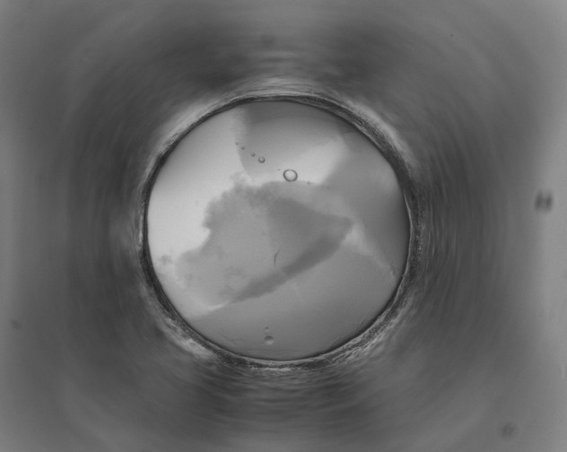 X0000095121413200712301749