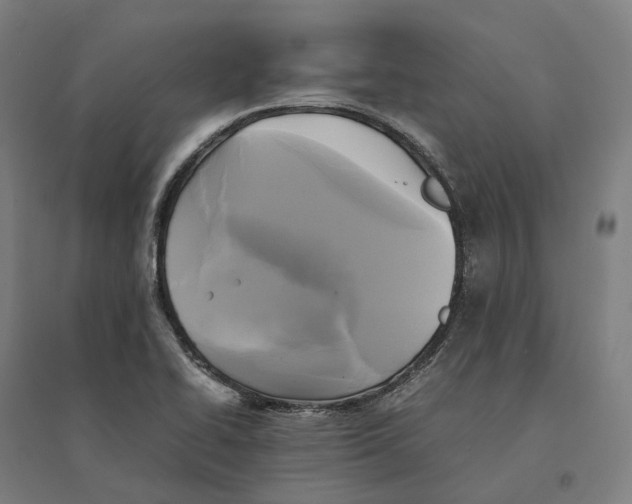 X0000095121414200712301749