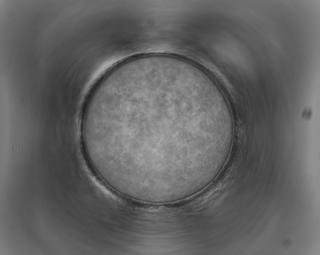 X0000095121416200712301749