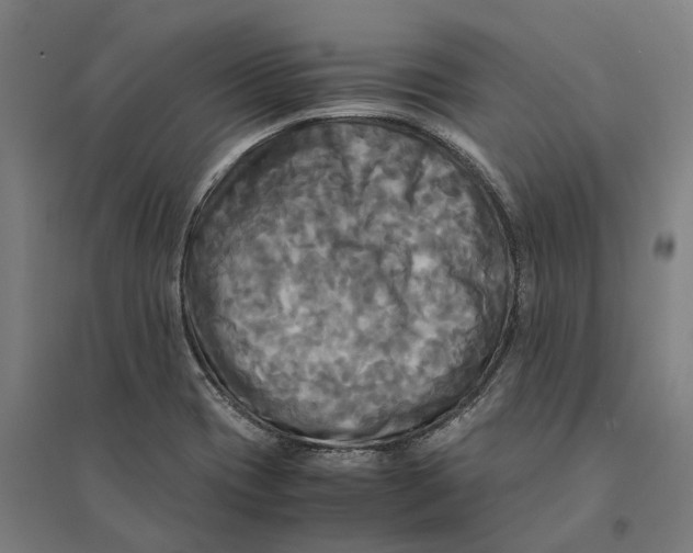 X0000095121417200712301749