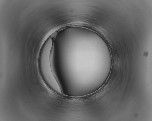 X0000095121418200712301749