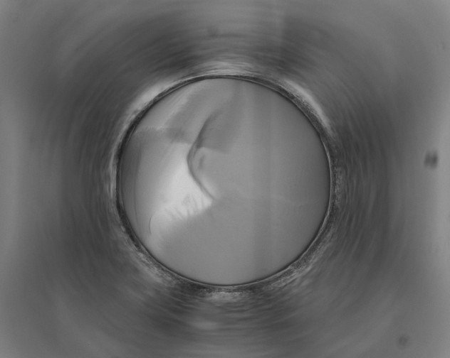 X0000095121419200712301749