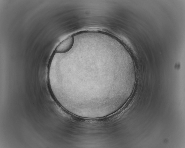 X0000095121420200712301749