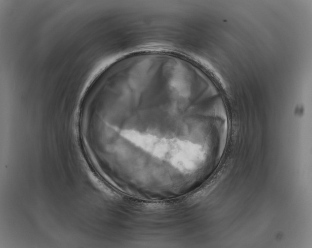 X0000095121421200712301749