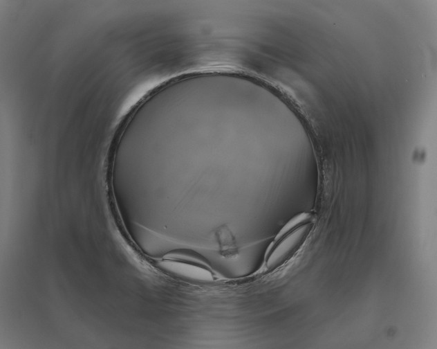 X0000095121422200712301750