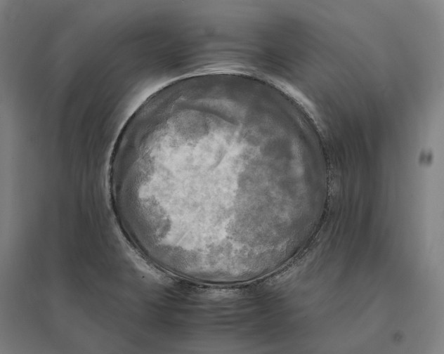 X0000095121423200712301750