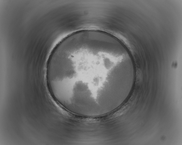 X0000095121424200712301750