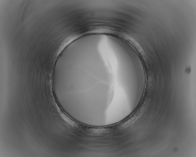 X0000095121425200712301750