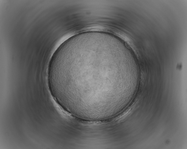 X0000095121426200712301750