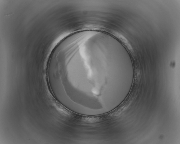 X0000095121427200712301750