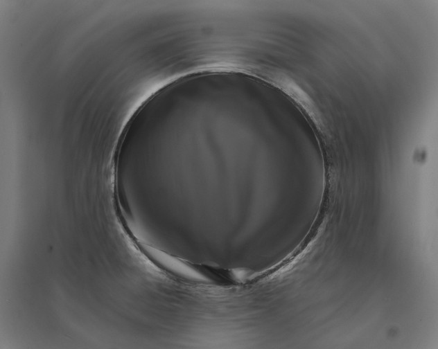 X0000095121428200712301750