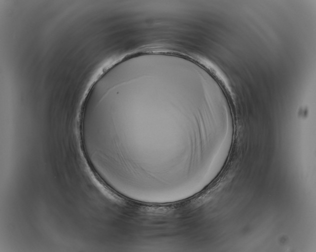 X0000095121429200712301750