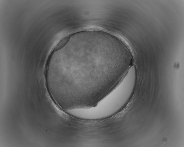 X0000095121430200712301750