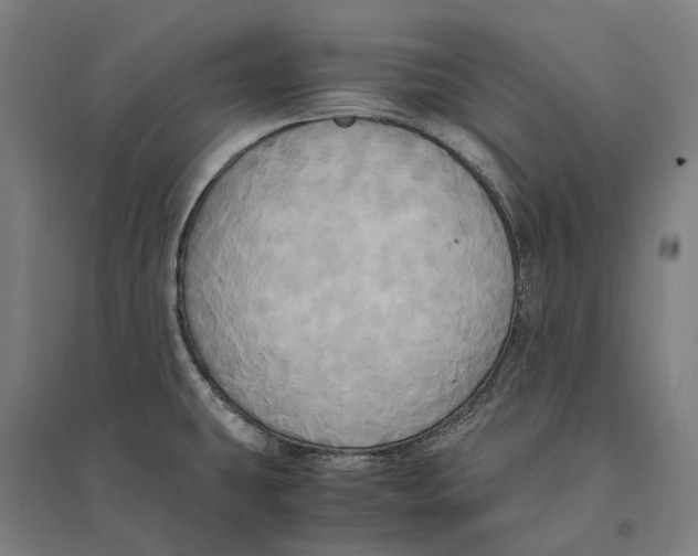 X0000095121431200712301750