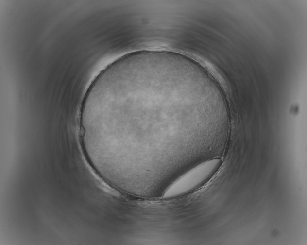 X0000095121432200712301750