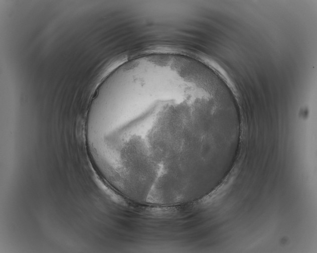 X0000095121433200712301750