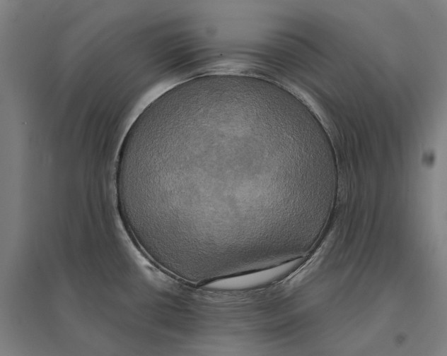 X0000095121434200712301750