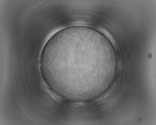 X0000095121435200712301750