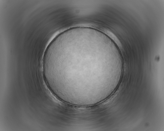 X0000095121436200712301750