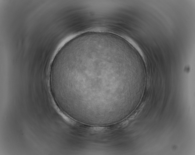 X0000095121437200712301750