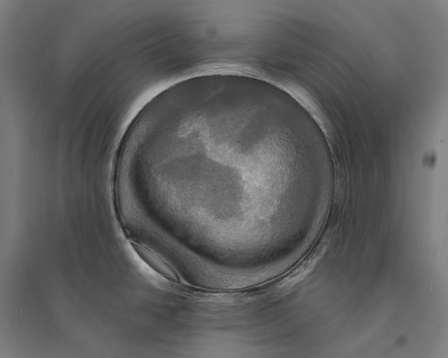 X0000095121438200712301750