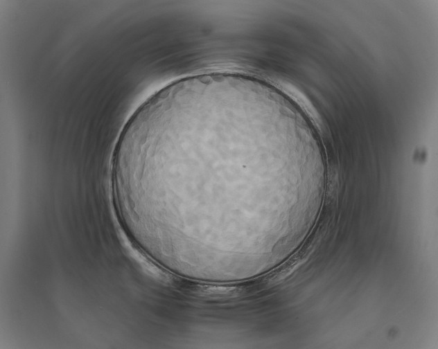 X0000095121439200712301750