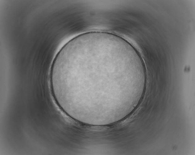 X0000095121440200712301750