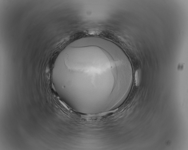 X0000095121443200712301749