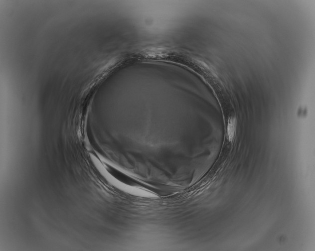 X0000095121444200712301749