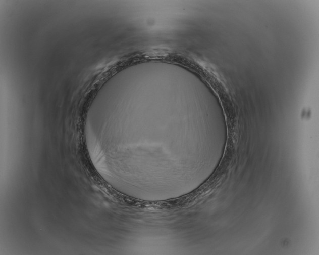 X0000095121445200712301749