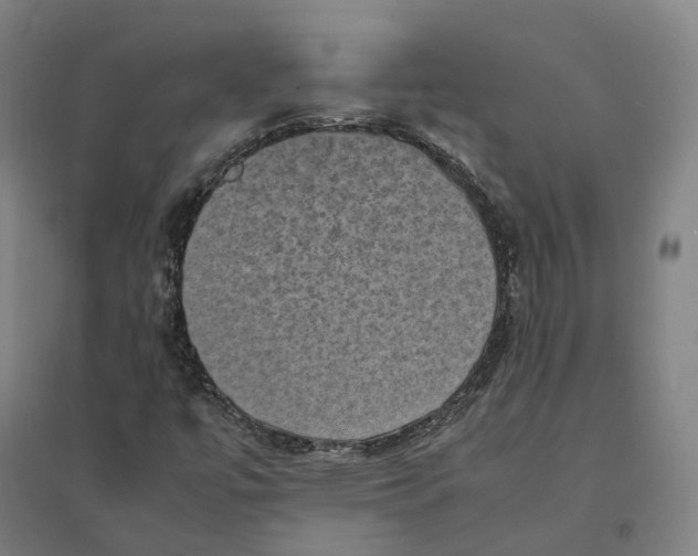 X0000095121447200712301749