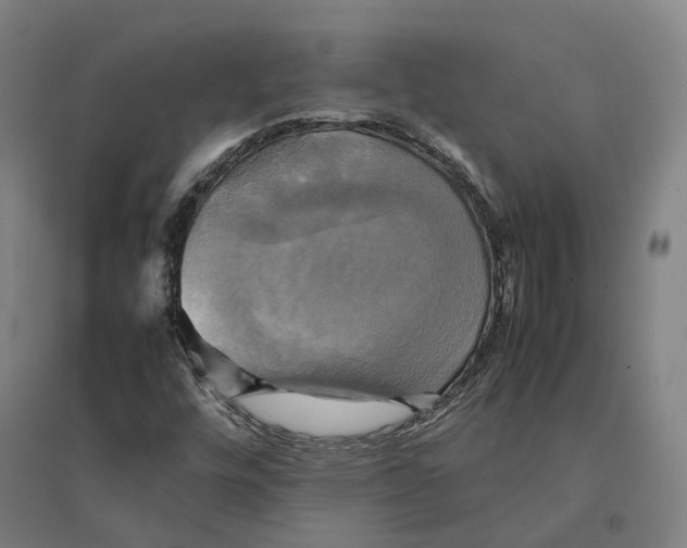 X0000095121448200712301749