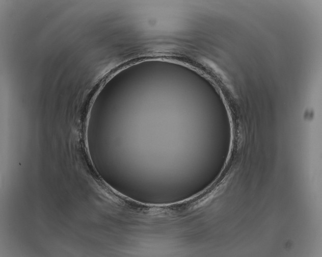 X0000095121449200712301749