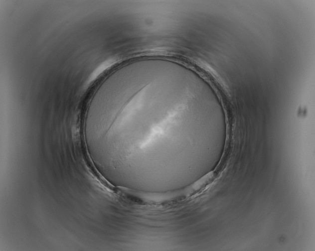 X0000095121450200712301749