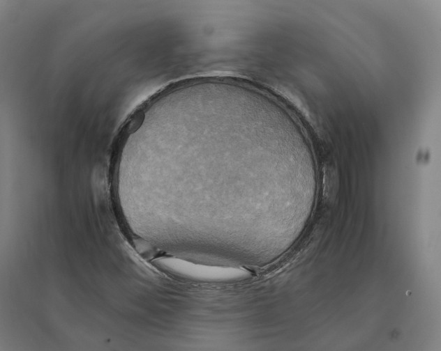 X0000095121452200712301749