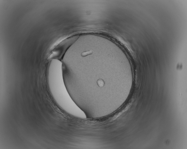 X0000095121453200712301749