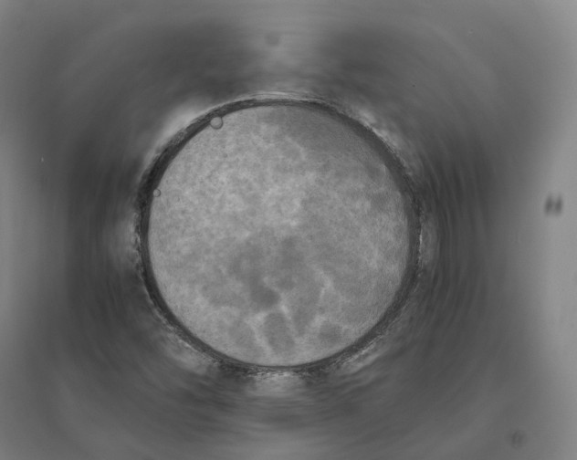 X0000095121454200712301749