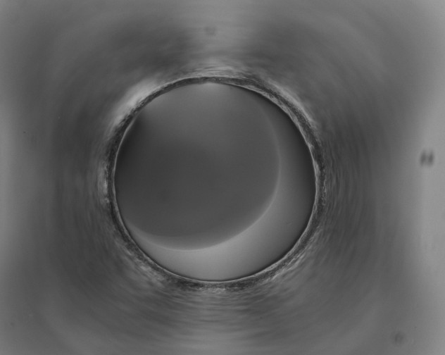 X0000095121455200712301749