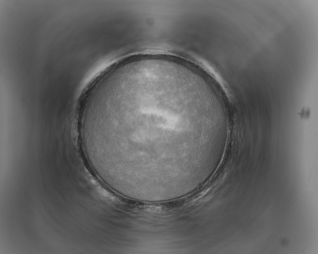 X0000095121456200712301749